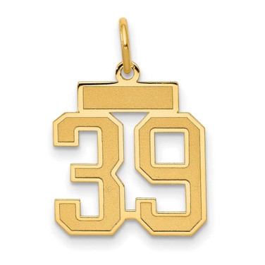 Image of 14K Yellow Gold Small Satin Number 39 Charm