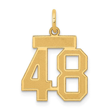 Image of 14K Yellow Gold Small Satin Number 48 Charm