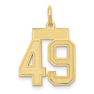 Image of 14K Yellow Gold Small Satin Number 49 Charm