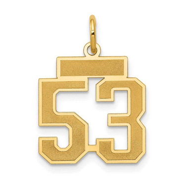 Image of 14K Yellow Gold Small Satin Number 53 Charm
