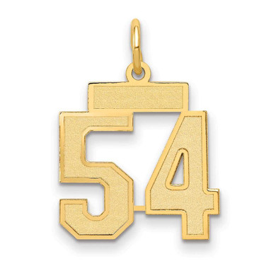 Image of 14K Yellow Gold Small Satin Number 54 Charm