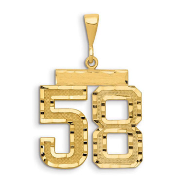 Image of 14K Yellow Gold Small Shiny-Cut Number 58 Charm