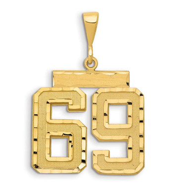 Image of 14K Yellow Gold Small Shiny-Cut Number 69 Charm
