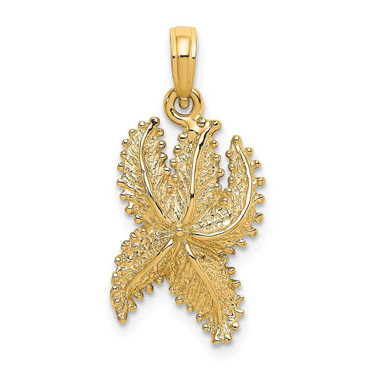 Image of 14K Yellow Gold Textured Starfish Pendant K8068