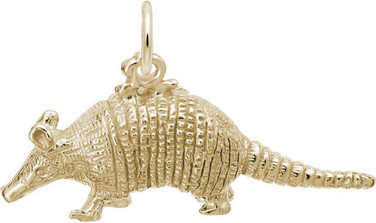 Image of Armadillo Charm (Choose Metal) by Rembrandt
