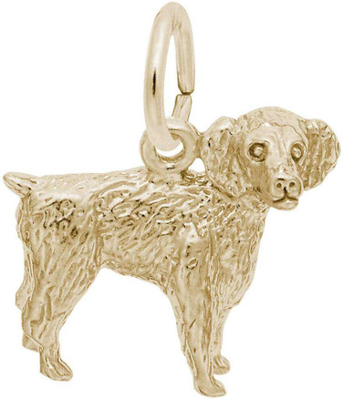 Image of Boykin Spaniel Charm (Choose Metal) by Rembrandt
