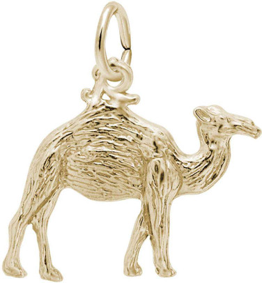 Image of Camel Charm (Choose Metal) by Rembrandt