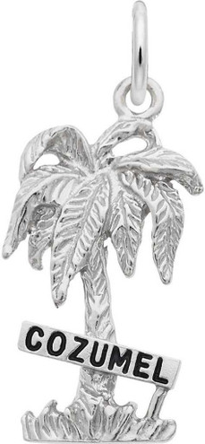 Image of Cozumel Palm Tree Charm (Choose Metal) by Rembrandt