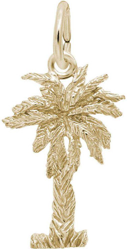 Image of Palmetto 3D Charm (Choose Metal) by Rembrandt