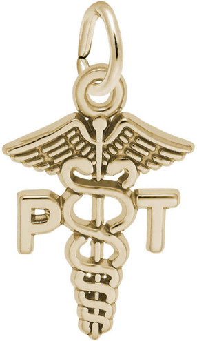 Physical Therapist Caduceus Charm (Choose Metal) by Rembrandt