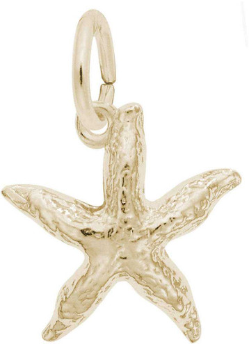 Image of Starfish Charm (Choose Metal) by Rembrandt