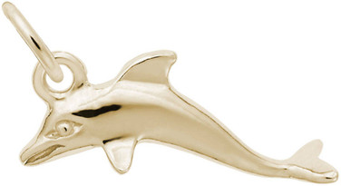 Swimming Dolphin Charm (Choose Metal) by Rembrandt