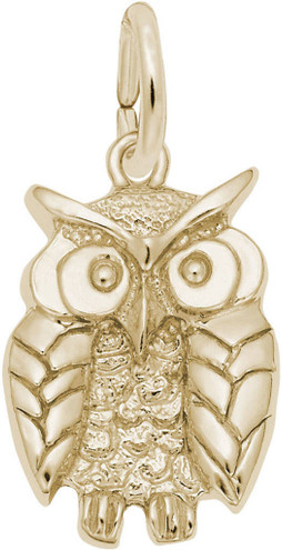 Wise Owl Charm (Choose Metal) by Rembrandt