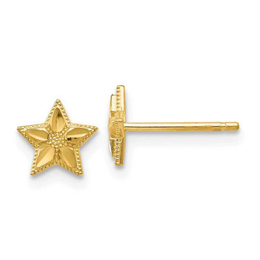 Image of 6mm 10k Yellow Gold Polished & Diamond-cut Star Post Earrings