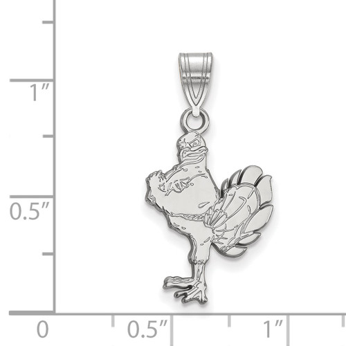 10K White Gold Virginia Tech Large Pendant by LogoArt (1W044VTE)