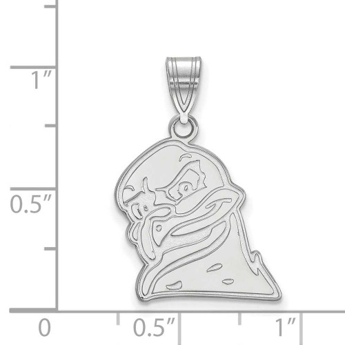 Image of 10K White Gold Virginia Tech Large Pendant by LogoArt (1W061VTE)