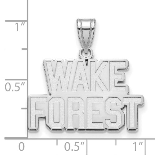 Image of 10K White Gold Wake Forest University Medium Pendant by LogoArt (1W043WFU)