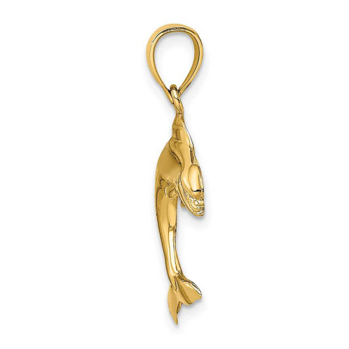 Image of 10K Yellow Gold 2-D Polished Dolphin Jumping Pendant