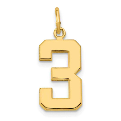 Image of 10K Yellow Gold Casted Medium Polished Number 3 Charm
