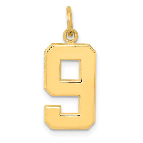 Image of 10K Yellow Gold Casted Medium Polished Number 9 Charm