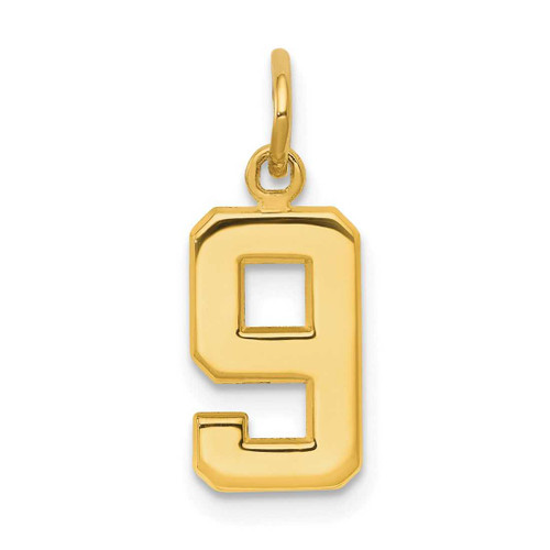 Image of 10K Yellow Gold Casted Small Polished Number 9 Charm