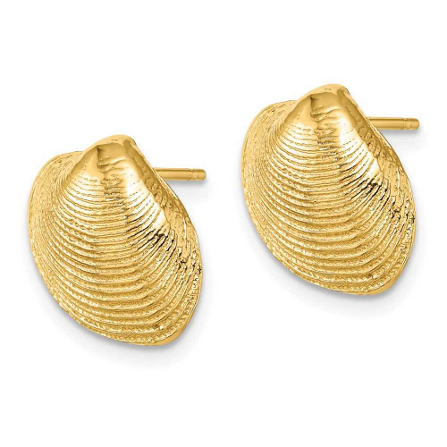 Image of 10k Yellow Gold Clam Shell Post Earrings 10TE786