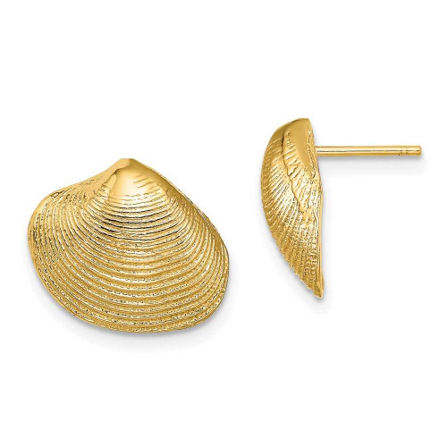 Image of 10k Yellow Gold Clam Shell Post Earrings 10TE786