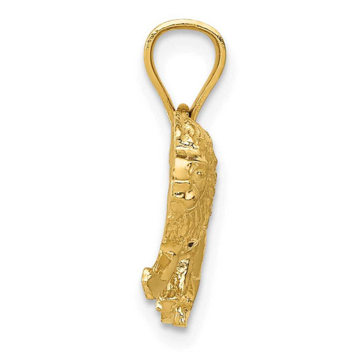 Image of 10K Yellow Gold Diamond-cut Lion Pendant