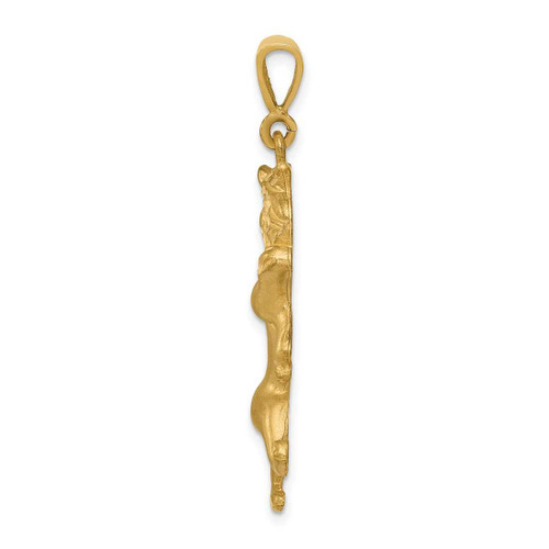 Image of 10K Yellow Gold Leo Zodiac Pendant