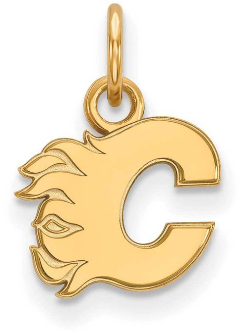 Image of 10K Yellow Gold NHL Calgary Flames X-Small Pendant by LogoArt