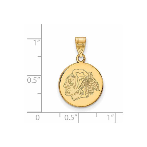 Image of 10K Yellow Gold NHL Chicago Blackhawks Medium Disc Pendant by LogoArt