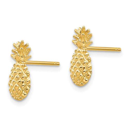 Image of 10k Yellow Gold Polished & Textured Pineapple Post Earrings