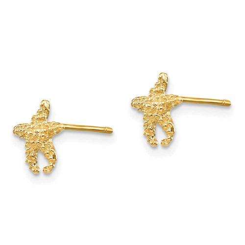Image of 10k Yellow Gold Polished & Textured Starfish Post Earrings