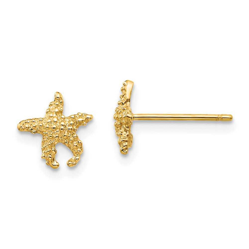 Image of 10k Yellow Gold Polished & Textured Starfish Post Earrings