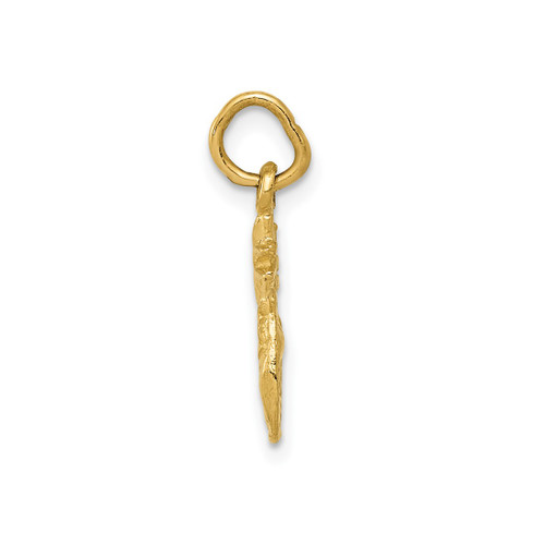 Image of 10K Yellow Gold Polished Pineapple Charm