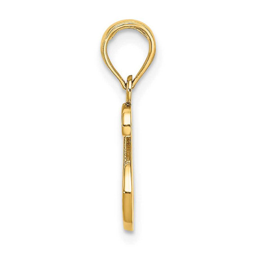 Image of 10k Yellow Gold Polished S Script Initial Pendant