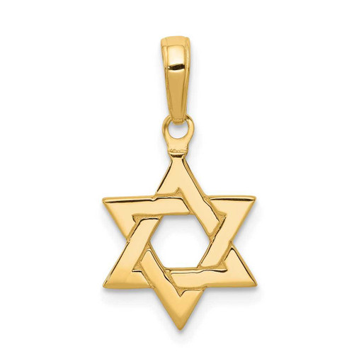 Image of 10K Yellow Gold Polished Star of David Pendant 10D1691