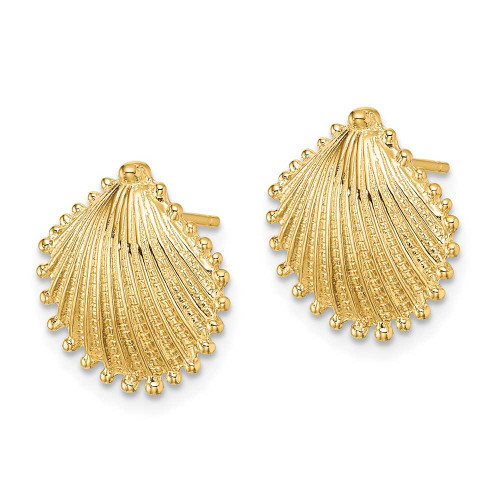 Image of 10k Yellow Gold Scallop Shell Post Earrings 10TE779
