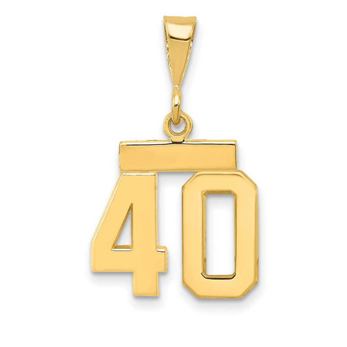 Image of 10K Yellow Gold Small Polished Number 40 Pendant