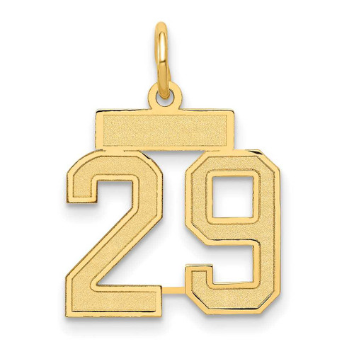 Image of 10K Yellow Gold Small Satin Number 29 Charm