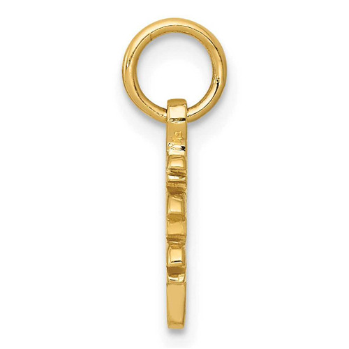 Image of 10K Yellow Gold Solid Polished Chinese Long Life Charm