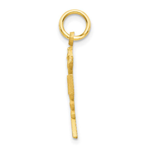 Image of 10K Yellow Gold Solid Registered Nurse Charm