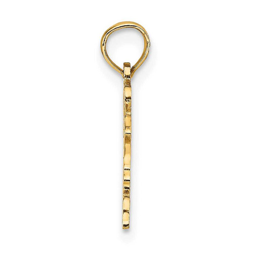 Image of 10k Yellow Gold Solid Virginia State Pendant