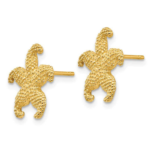 Image of 10k Yellow Gold Starfish Post Earrings 10TC586