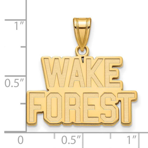 Image of 10K Yellow Gold Wake Forest University Medium Pendant by LogoArt (1Y043WFU)