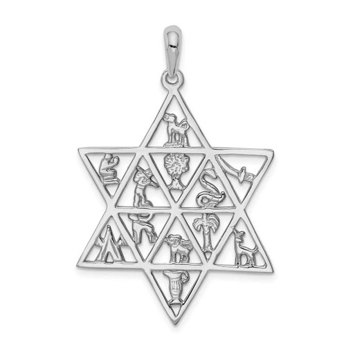Image of 14K White Gold 12 Tribes Star Of David Pendant