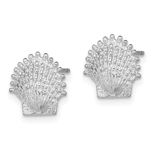 Image of 10.3mm 14k White Gold Beaded Scallop Shell Stud Post Earrings