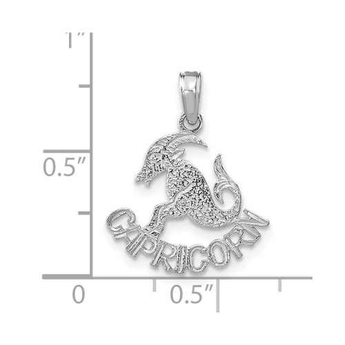 Image of 14K White Gold CAPRICORN Pendant