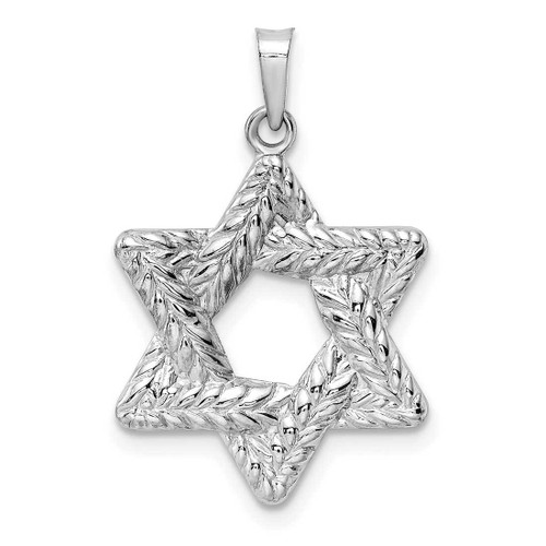 Image of 14K White Gold Polished & Textured Solid Star of David Pendant