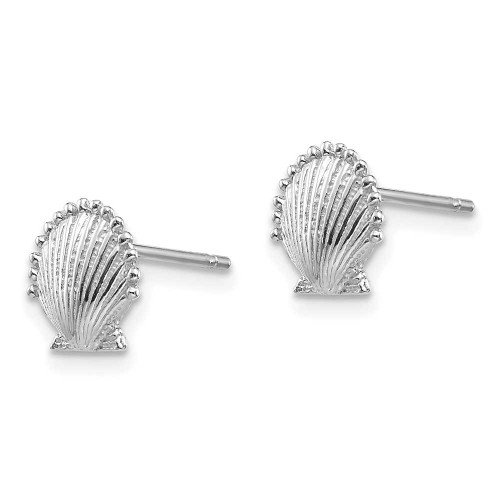 Image of 8.02mm 14K White Gold Scallop Shell Stud Post Earrings TE633W